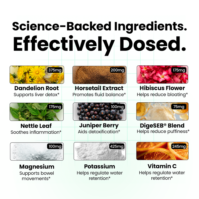 D-BLOAT – Daily Debloating Powder by Ascend Labs